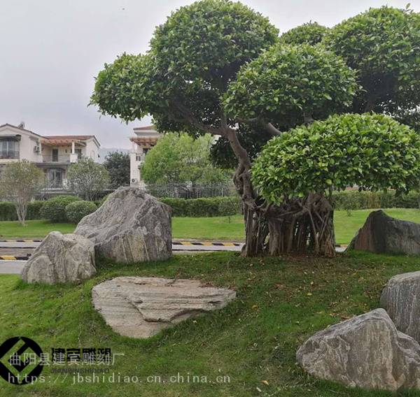 园林庭院原石布置造景景观石头大量现货