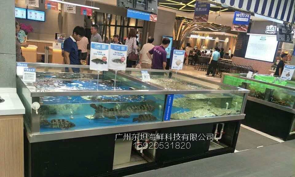 广州鳌头海鲜池配件-海鲜池循环水-广州农庄土建鱼池