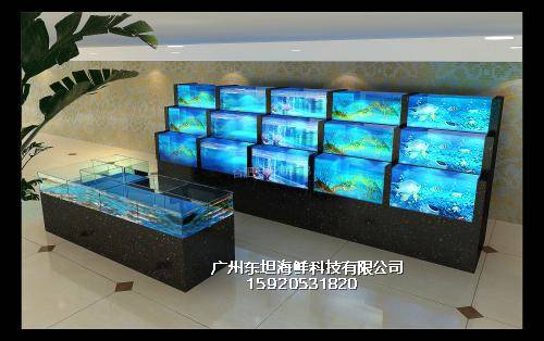 黄庄海鲜池定做-pvc板制作海鲜池-广州海鲜烧烤店定做鱼池