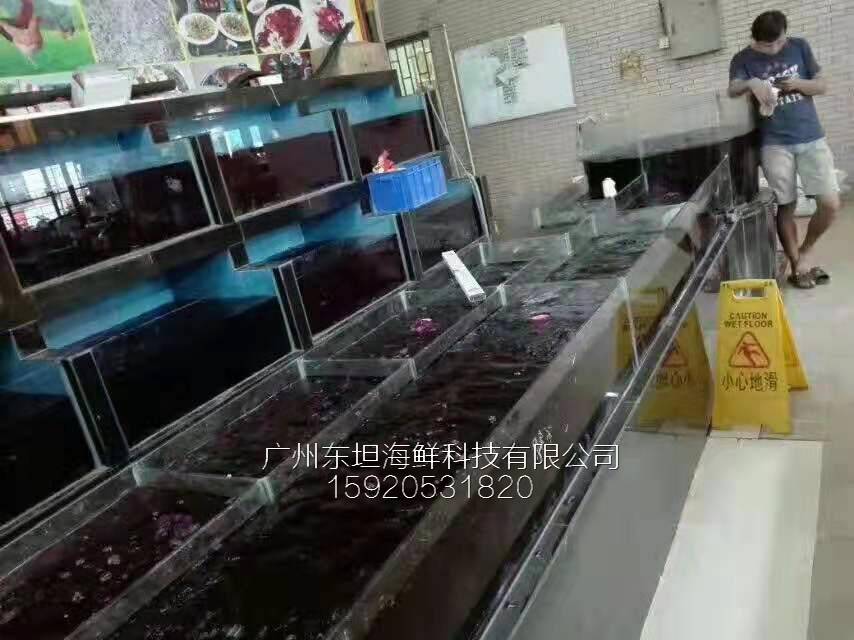 广州东涌海鲜鱼池制作图片-海鲜缸增氧-广州不锈钢海鲜池