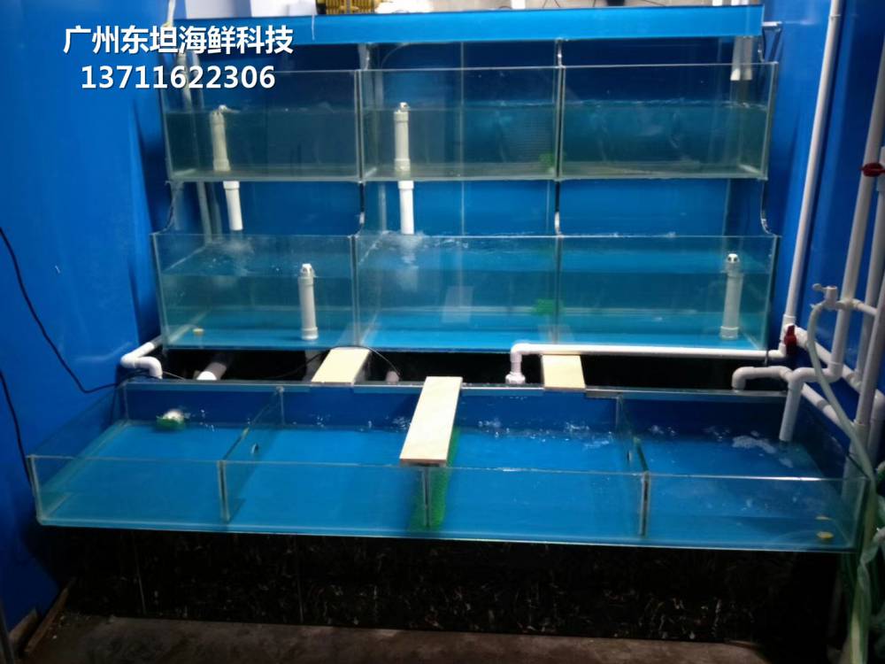 深圳订做海鲜鱼缸-深圳两层海鲜鱼池-深圳大鹏海鲜鱼池