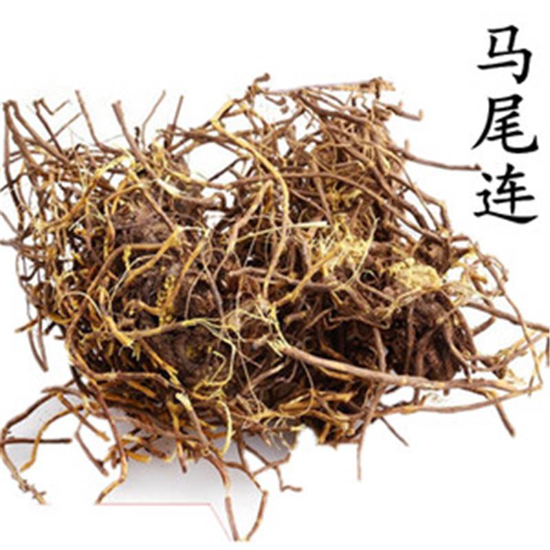 主要价值 须根深黄色,含小檗碱,在宾川-带当作马尾黄连收购,可治痢疾