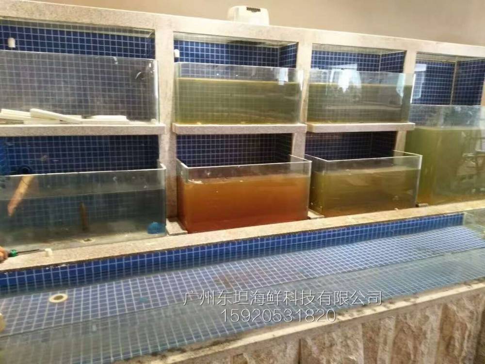 广州洛浦海鲜池安装费用-海鲜池-广州海鲜烧烤店定做鱼池