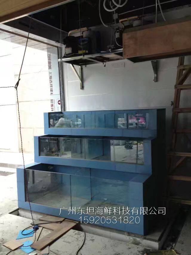广州石基海鲜池公司-pvc板制作海鲜池-广州海鲜酒家鱼池设计