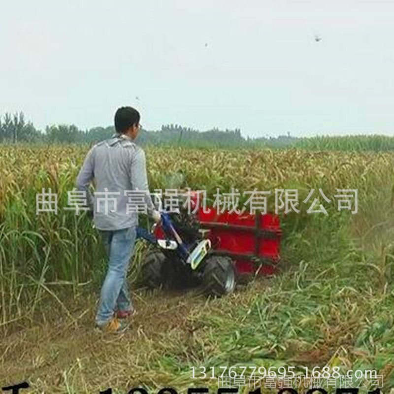 晋江市芦苇秸秆收获机 谷子割晒机详细 水稻收获机厂家