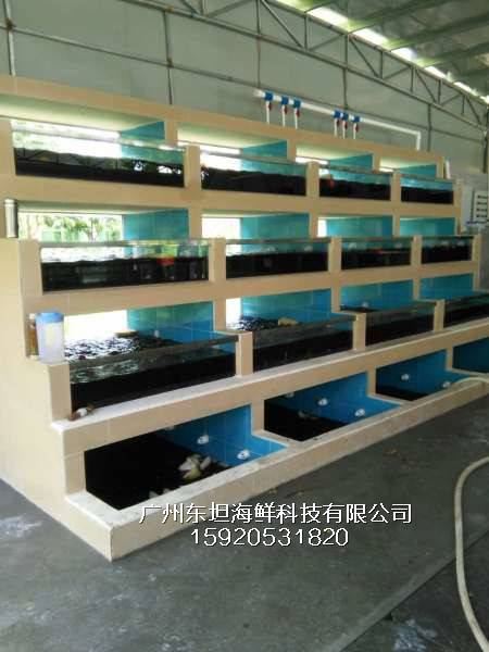 广州棠下海鲜池制冷机-海鲜池-广州海鲜烧烤店定做鱼池