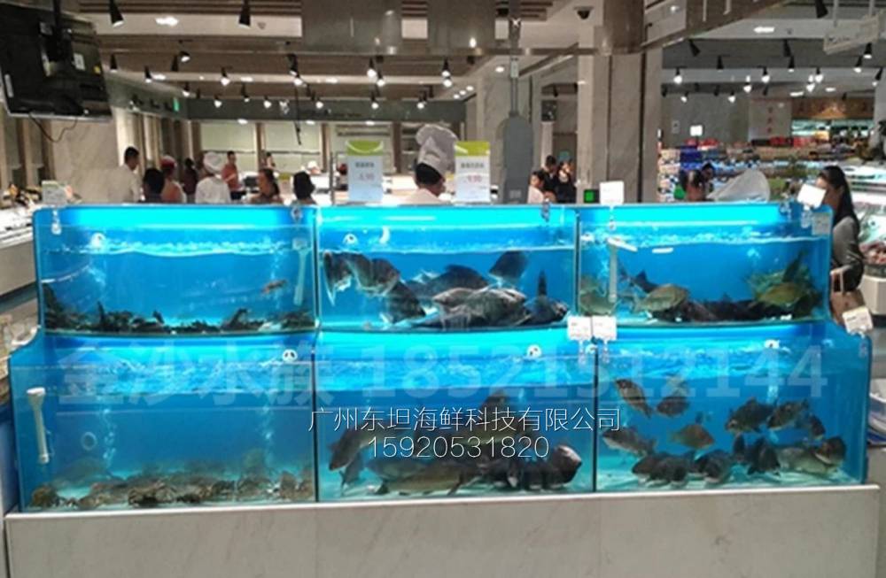 广州流花海鲜池定做电话-制冷海鲜池-广州菜市场海鲜缸