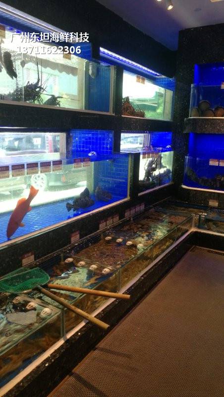 深圳海鲜养殖缸定做-深圳海鲜池-深圳宝安海鲜玻璃鱼缸