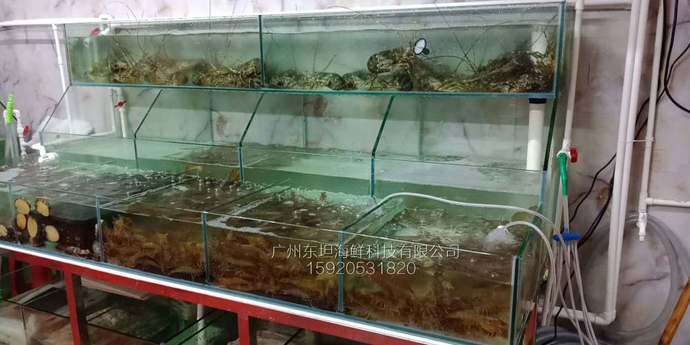 黄庄海鲜池定做-pvc板制作海鲜池-广州海鲜酒家鱼池设计
