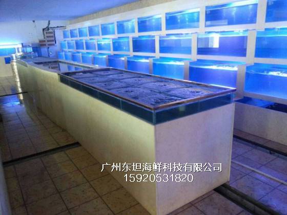 天河珠吉海鲜池设计制作-海鲜池配置-广州大排档海鲜鱼池