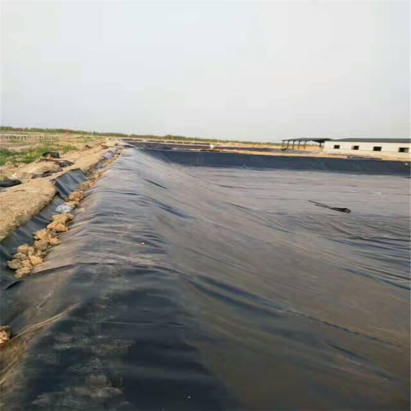 1.2mm厚HDPE土工膜土工合成材料 鱼塘土工膜搭接宽度 润业土工