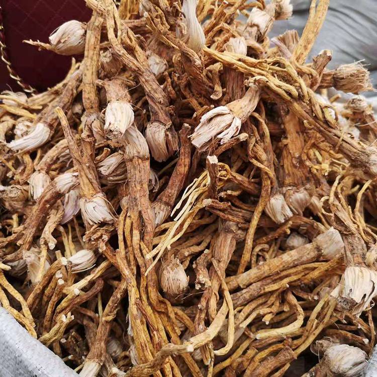 无硫秦艽 厂家直销秦艽 中药材批发秦艽 祥刚