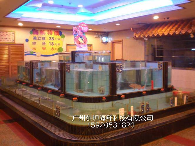 荔湾黄岐海鲜池定做电话-海鲜塑料池箱-广州海鲜烧烤店定做鱼池