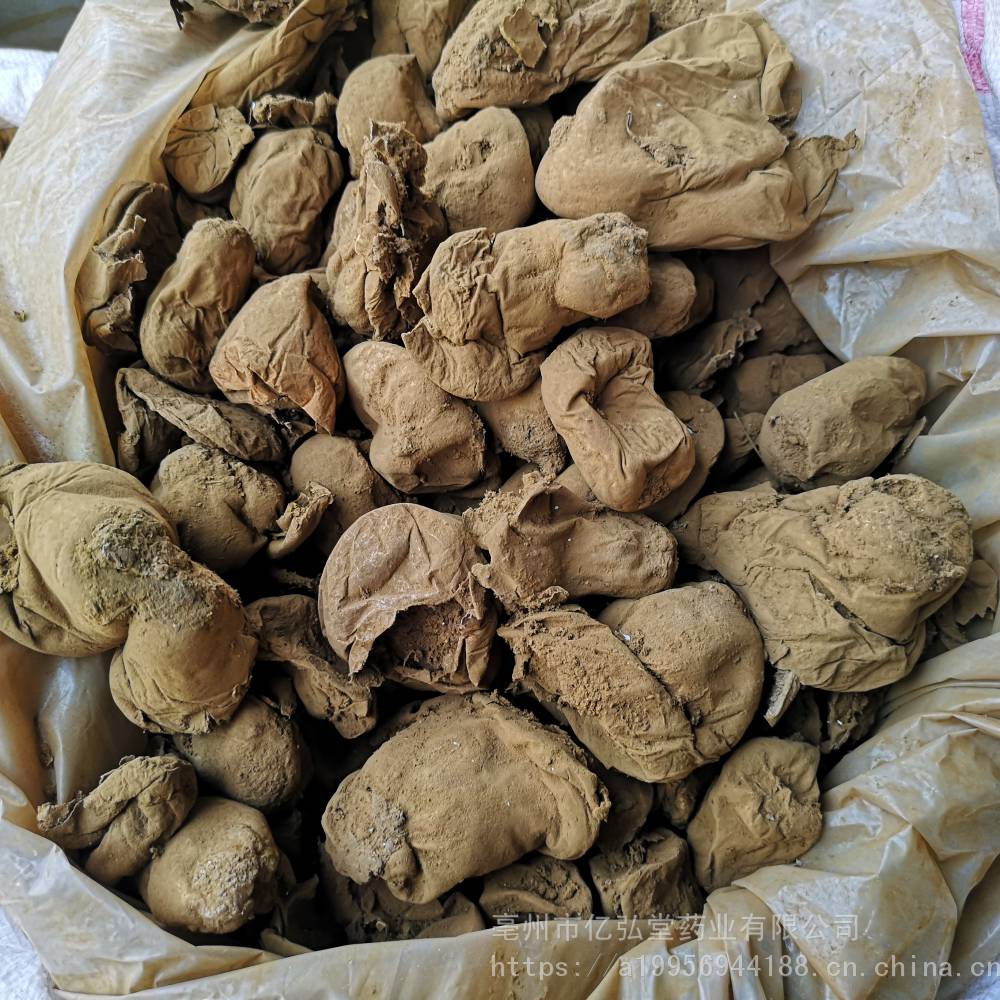 中药材灰包菌,人头菌,牛屎菌,大气菌,灰菌,马勃是什么 价格多少钱