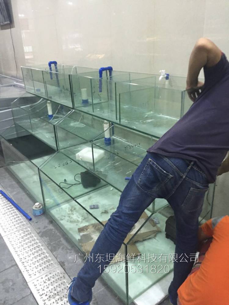 越秀北京路海鲜池安装费用-海鲜池制冷-广州海鲜酒家鱼池设计