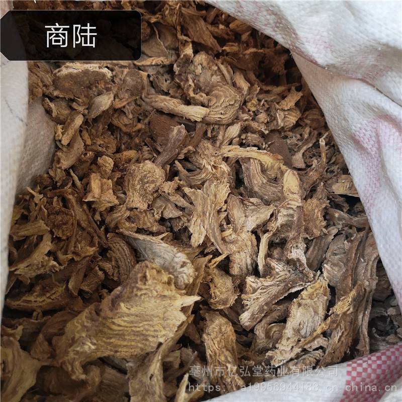 花商陆,见肿消,商陆批发 商陆价格多少钱一公斤
