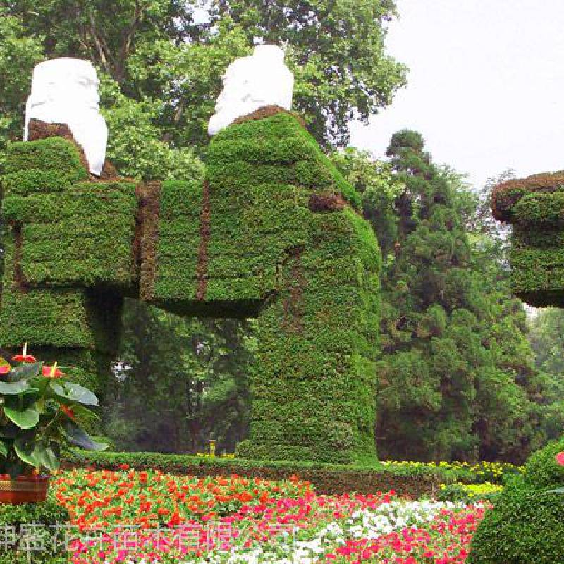 安徽设计植物绿雕造型_景观植物造型绿化厂家定制