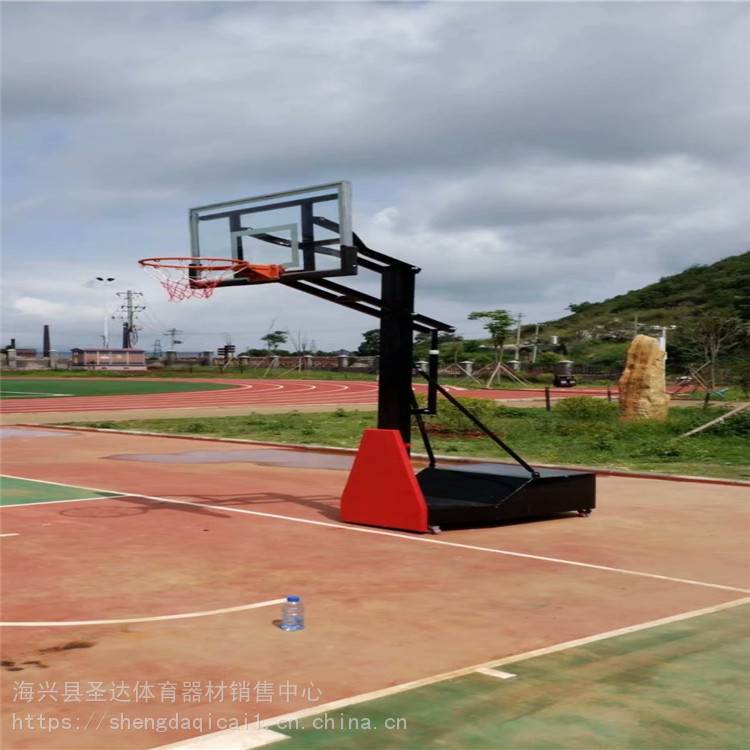 儿童可升降篮球架 移动式室外篮球架厂家 儿童篮球架价格