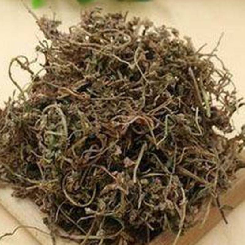筋骨草多少钱一斤 筋骨草功效与作用