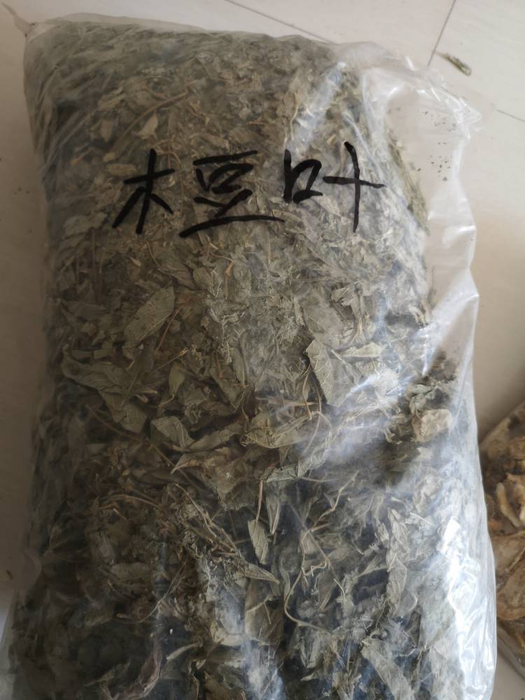 木豆叶的功效与作用当年货木豆叶价格