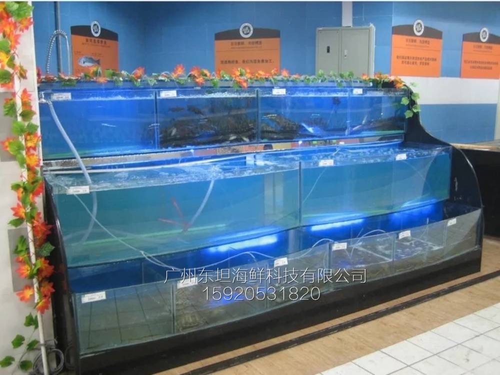 黄埔海鲜池制作-海鲜池摆放-广州生猛海鲜鱼池