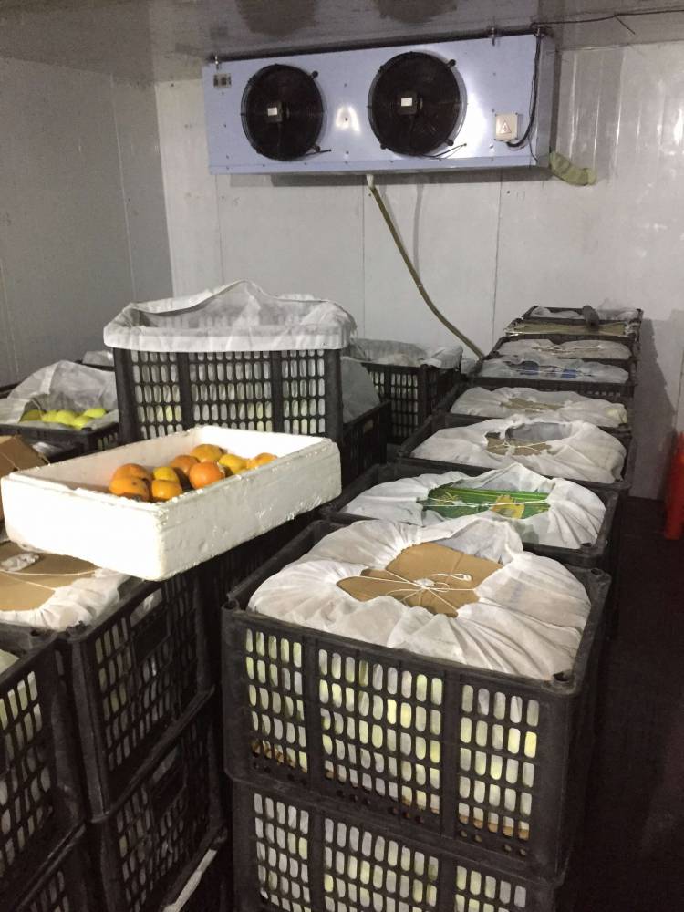德州食品保鲜冷库 水果保鲜冷库价格 保鲜冷库建造厂家
