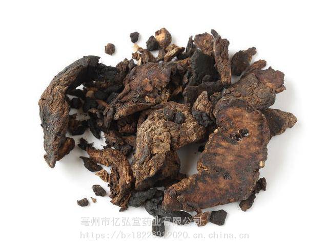 of desertliving cistanche 别名肉松蓉,黑司令,纵蓉,地精,马足,马芝