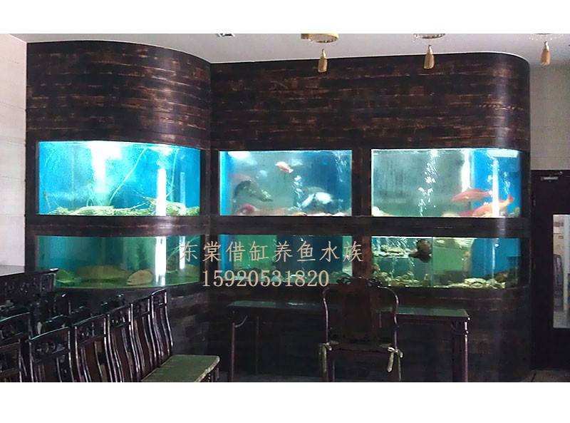 佛山新天地海鲜池背景纸，哪里定做不锈钢海鲜池