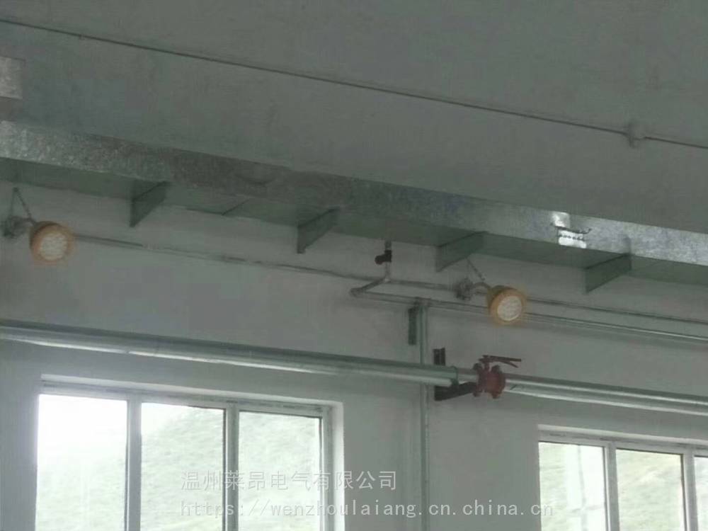 首页 照明 专门用途灯具 其他专门用途灯具 led防爆灯led防爆应急灯