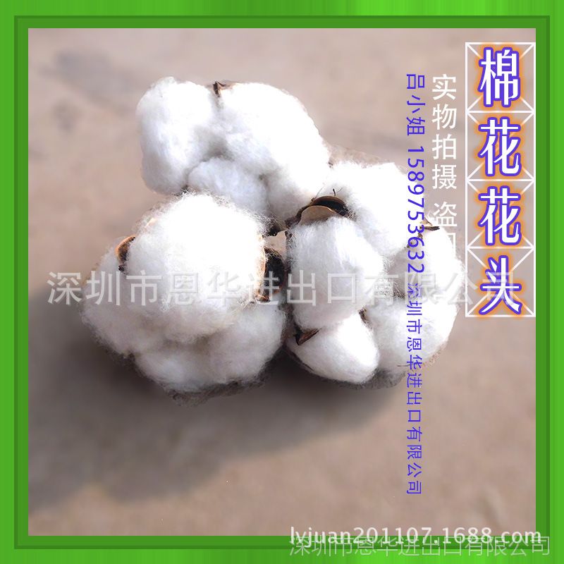 办公,文教 气氛,布置用品 鲜花,花艺制品 【包邮】干花植物 棉花 棉花