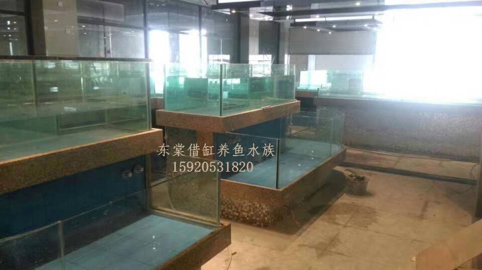 佛山***高新区海鲜鱼池制作费用，哪里定做饭店海鲜池