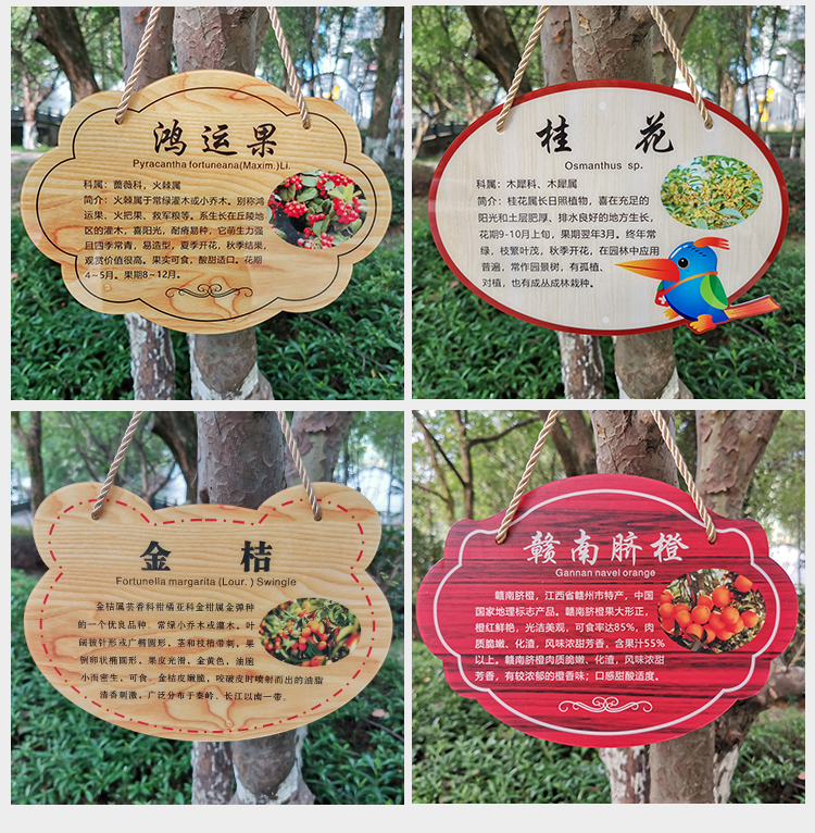 树牌木纹塑料雕刻牌树木介绍牌树木标示牌花园标牌植物名称贴挂牌