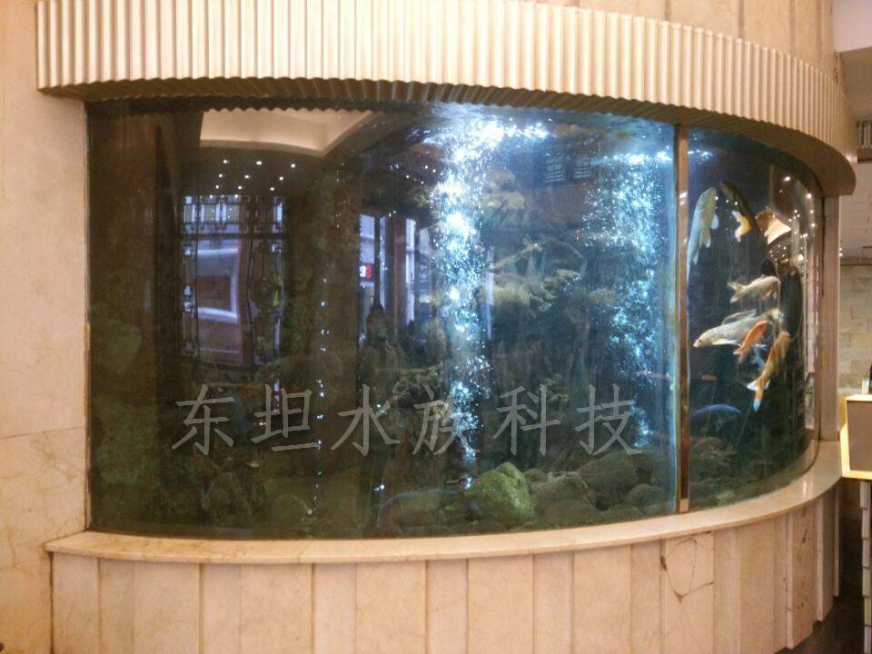 公司首页 最新供应 越秀水生财鱼缸结构图,越秀大型鱼缸图片,广州水生