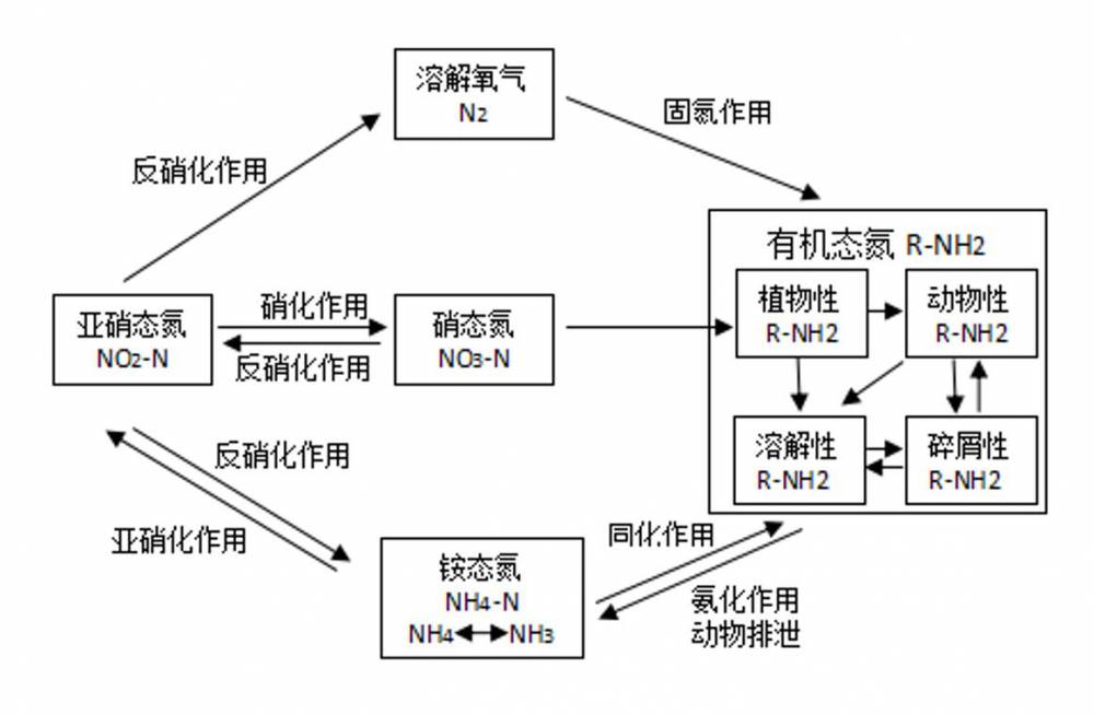 水中的氮主要来源于水中生物的固作用和动植物性有机氮,并通过氮循环