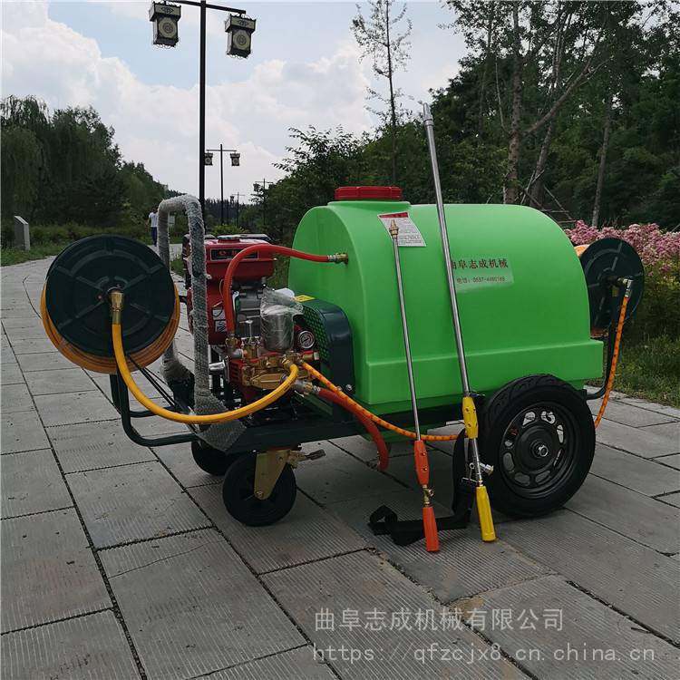 热销蔬菜园地农药喷洒机 猪圈防疫消毒喷药机 仓库码头消杀喷药机志成