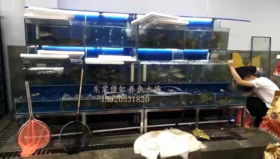 佛山朝安海鲜池设计制作，哪里定做贝壳虾蟹鱼池