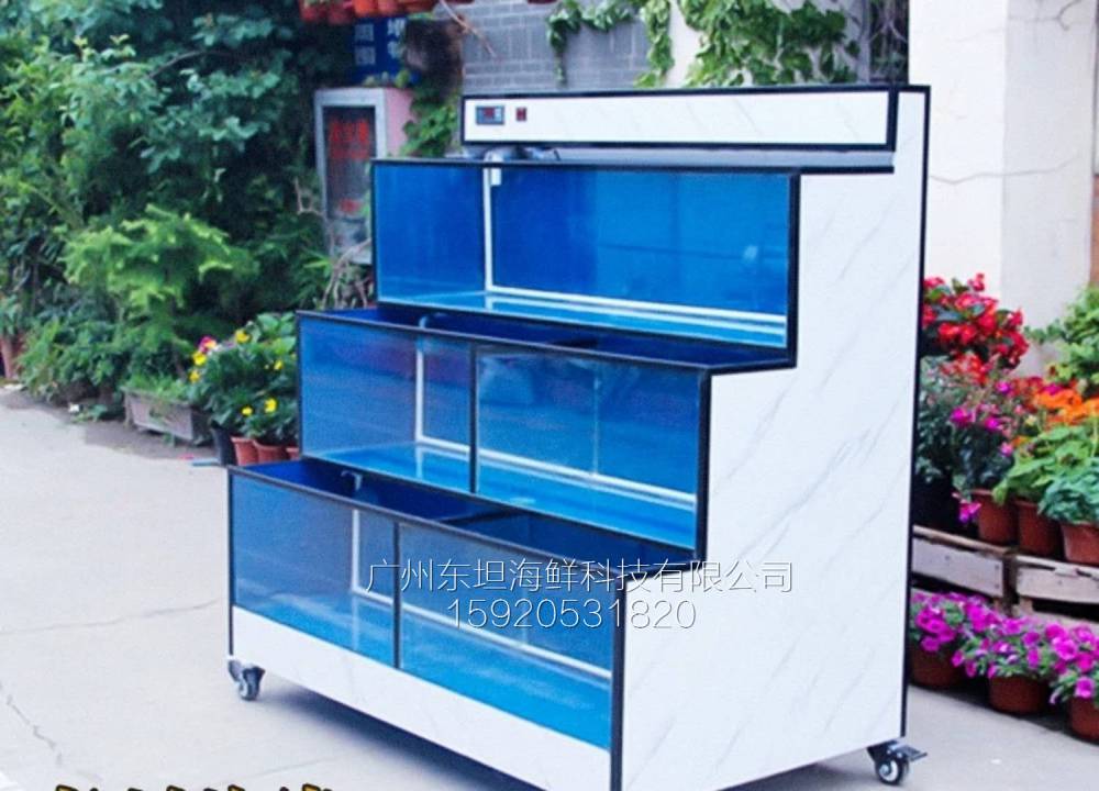 广州金沙洲海鲜鱼池制作图片-海鲜池-广州海鲜烧烤店定做鱼池