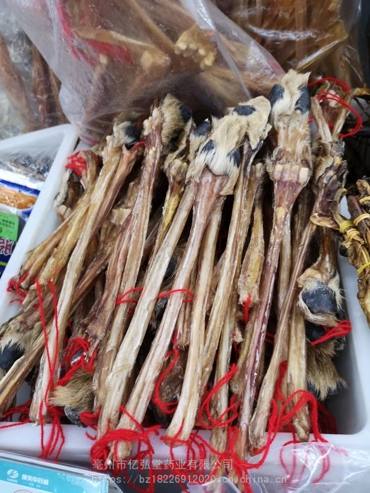 鹿胶筋批发 鹿脚筋的功效和图片