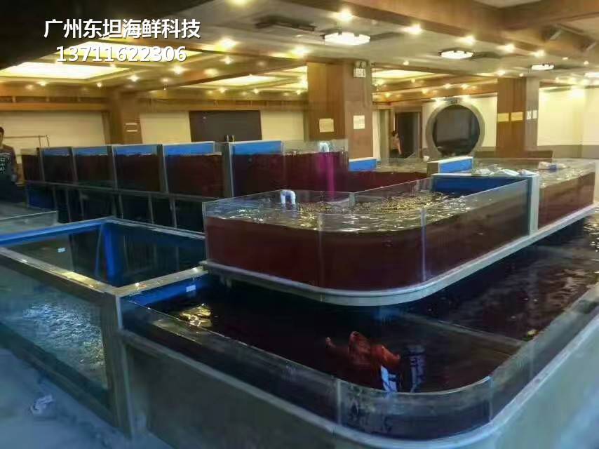 深圳海鲜池定做-深圳海鲜池-深圳龙华海鲜养殖缸