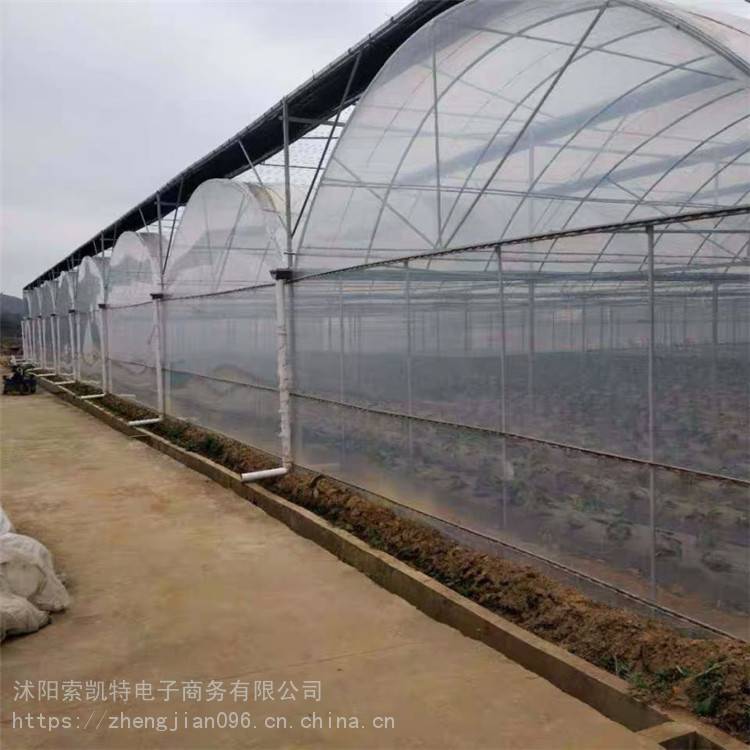 索凯特 蔬菜大棚 无土立体种植温室大棚 厂家量身定制