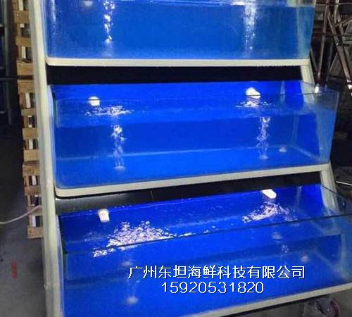 荔湾区龙津海鲜鱼池尺寸-海鲜池制冷-广州海鲜酒家鱼池设计