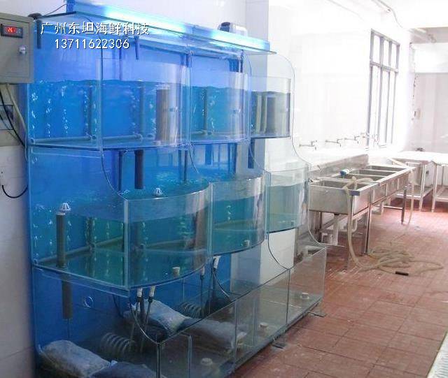 深圳海鲜玻璃缸定制-深圳海鲜市场鱼池-深圳海鲜玻璃缸
