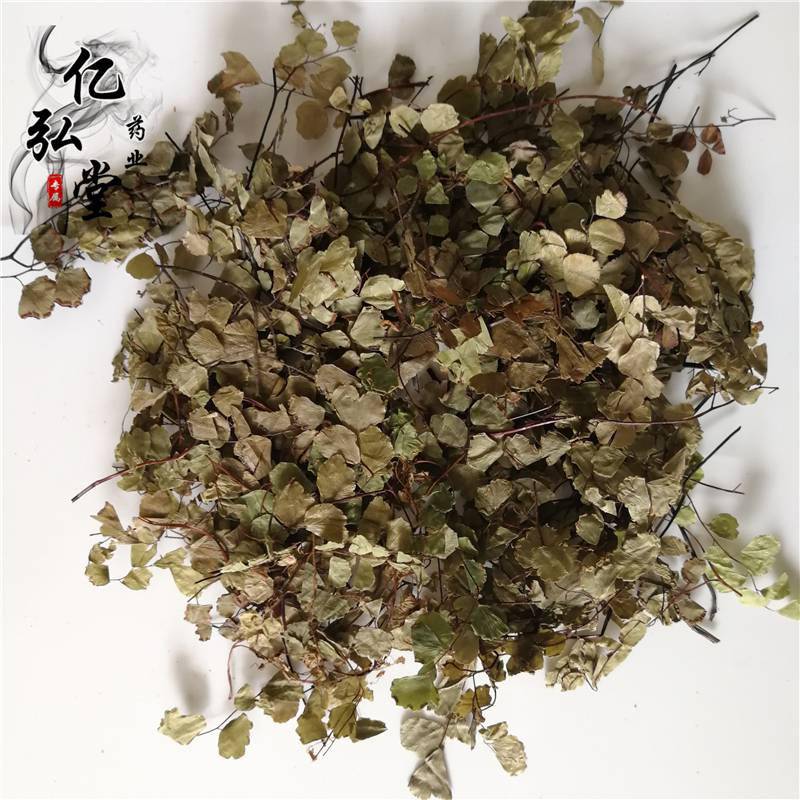 中药材石长生用法用量/石中珠功能主治/岩浮萍药用价值