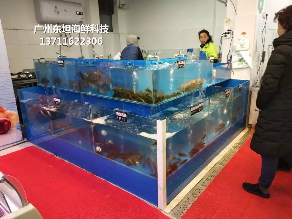 深圳玻璃鱼缸定制-深圳厨房小型海鲜池-深圳坪山海鲜缸