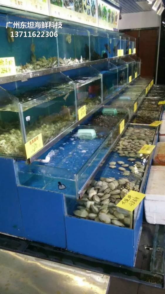 深圳海鲜玻璃缸定制-深圳海鲜市场鱼池-深圳海鲜鱼池