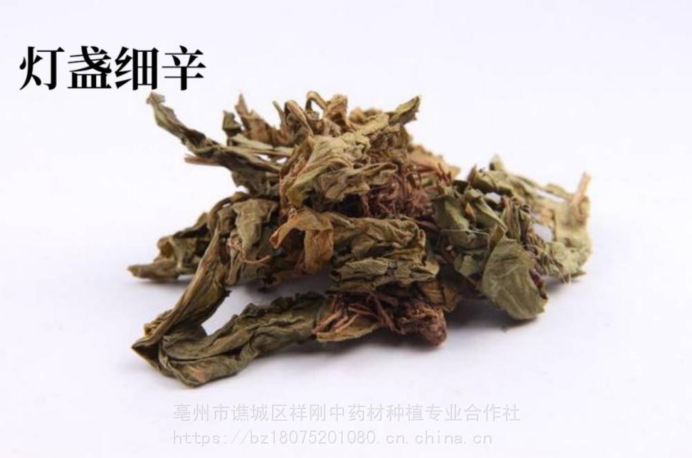 灯盏细辛的主治作用双葵花东菊灯盏草