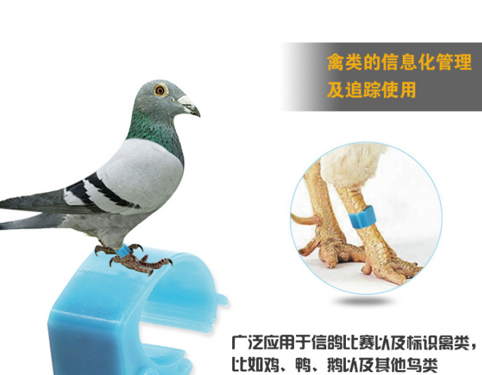供应rfid鸽子电子脚环,动物标签,闭口rfid鸽子脚环,射频电子脚环