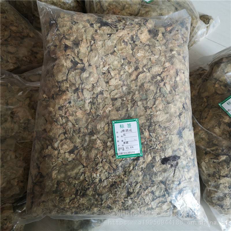 中药材蛇麻花哪里能买到 香蛇麻价格多少钱一公斤