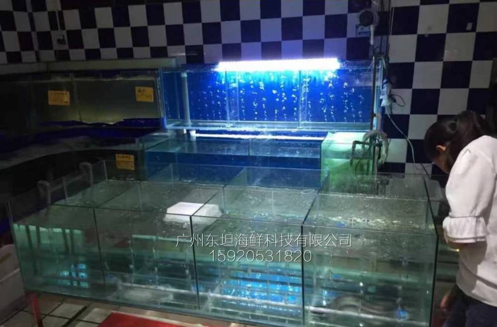 鸦岗海鲜池定制-海鲜塑料池箱-广州海鲜酒家鱼池设计