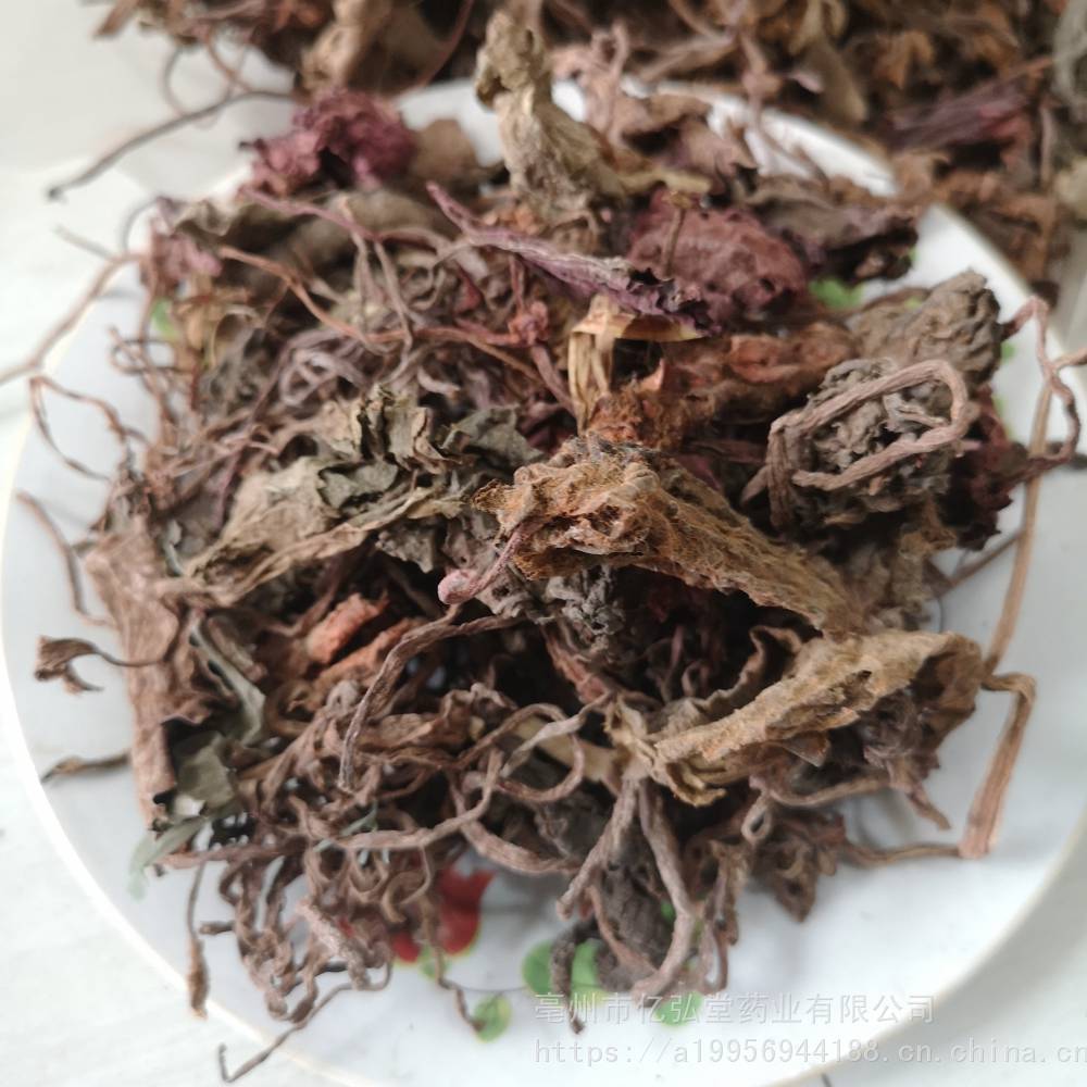 【中药材止血草药用价值 止血草用法用量】图片
